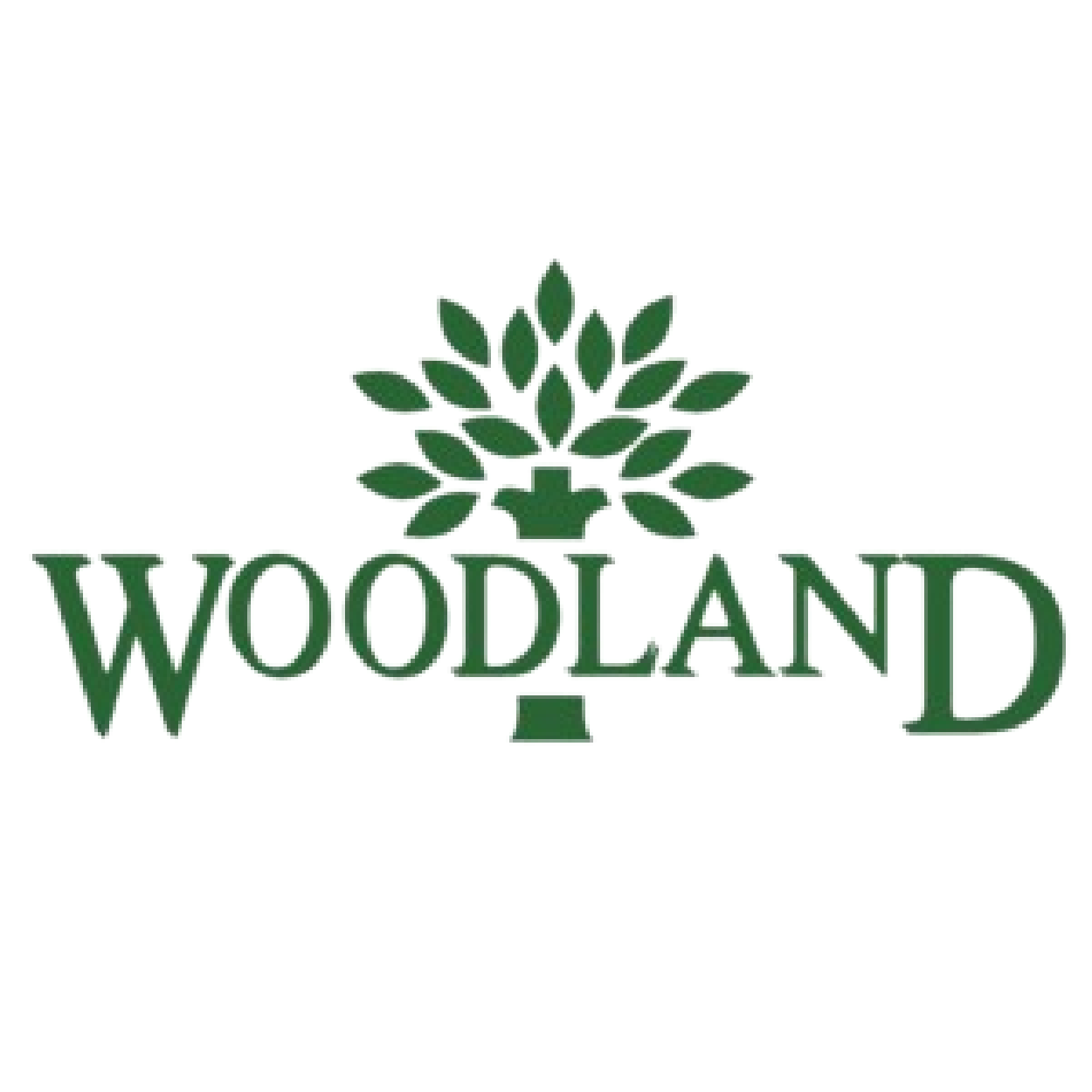 Associated Logo 20